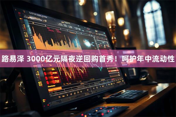 路易泽 3000亿元隔夜逆回购首秀！呵护年中流动性