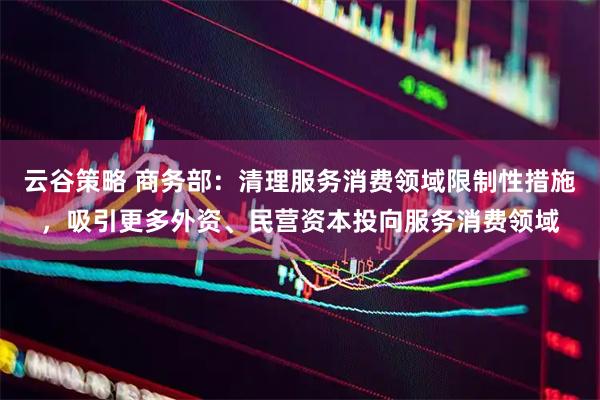 云谷策略 商务部：清理服务消费领域限制性措施，吸引更多外资、民营资本投向服务消费领域