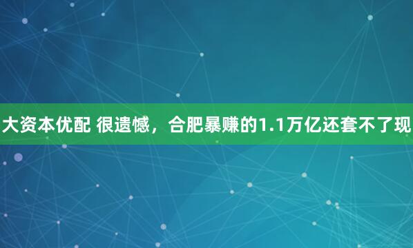 大资本优配 很遗憾,合肥暴赚的1.1万亿还套不了现