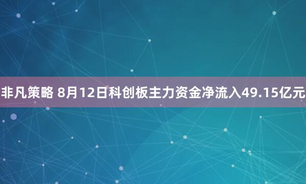 非凡策略 8月12日科创板主力资金净流入49.15亿元